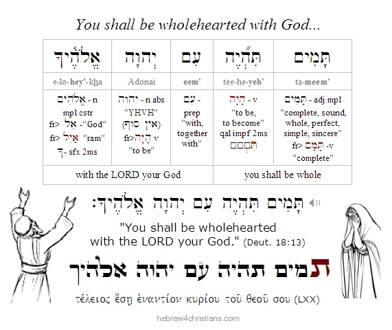 Deut. 18:13 Hebrew Lesson