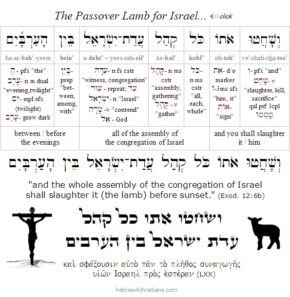 Exodus 12:6b Hebrew lesson