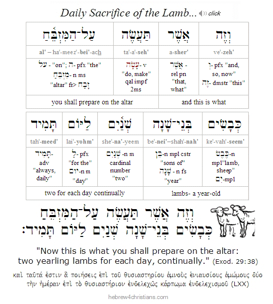 Exodus 29:38 Hebrew Lesson