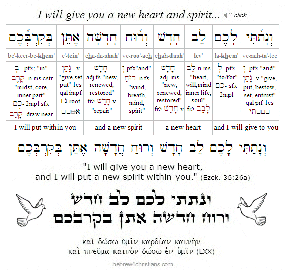 Ezekiel 36:26 Hebrew Lesson