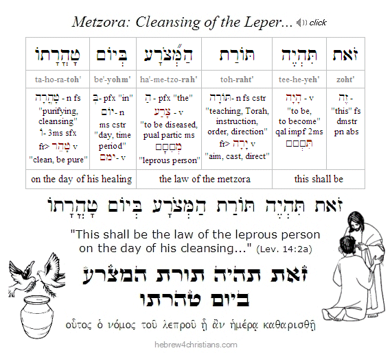 Lev. 14:2a Hebrew lesson