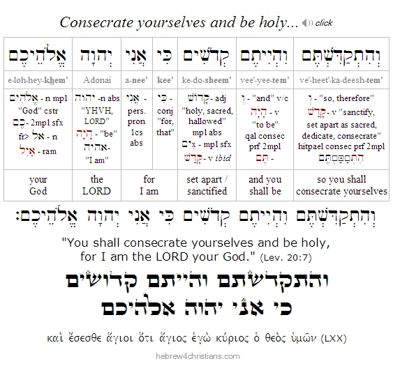 Leviticus 20:7 Hebrew Lesson