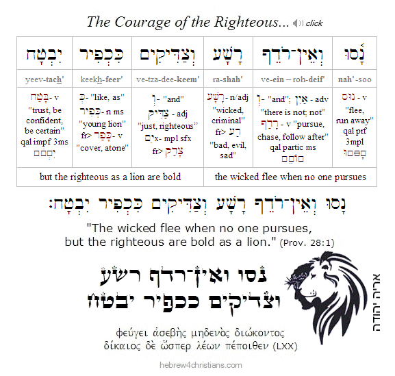 Proverbs 28:1 Hebrew lesson