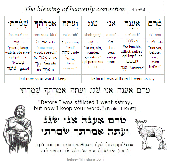 Psalm 119:67 Hebrew lesson