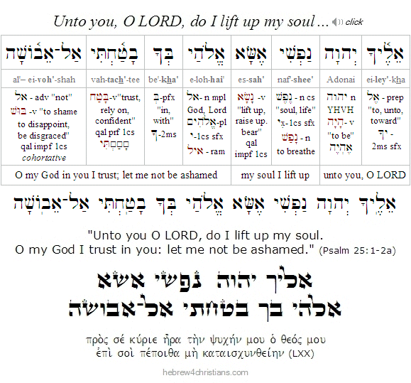 Hebrew for Christians Current Site Updates