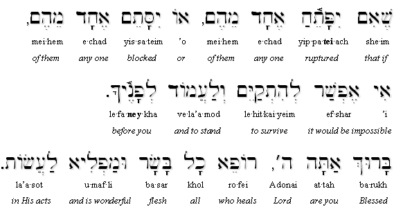 Asher Yatzar Blessing Transliteration