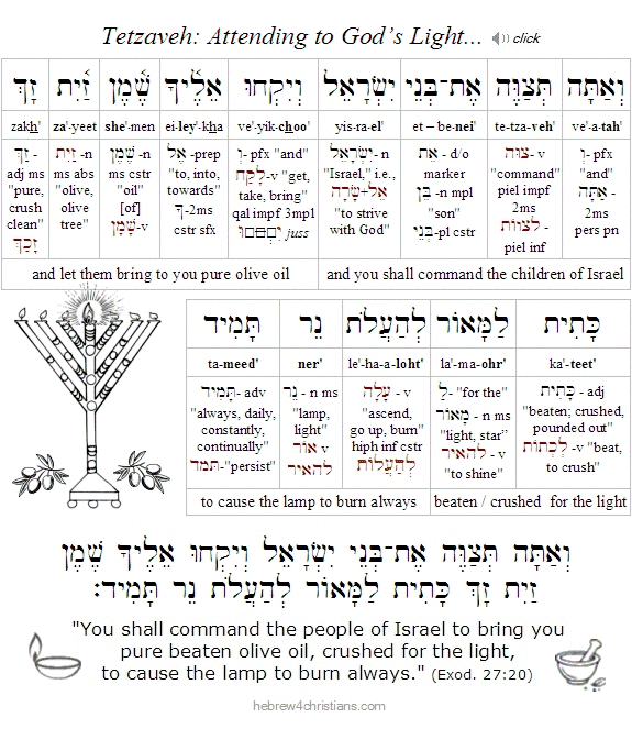 Exodus 27:20a Hebrew Analysis