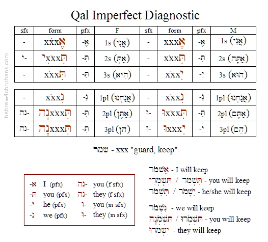 hebrew-qal-imperfect-with-strong-verbs