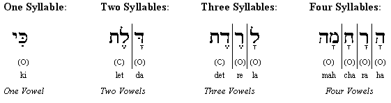 Open and Closed Syllables