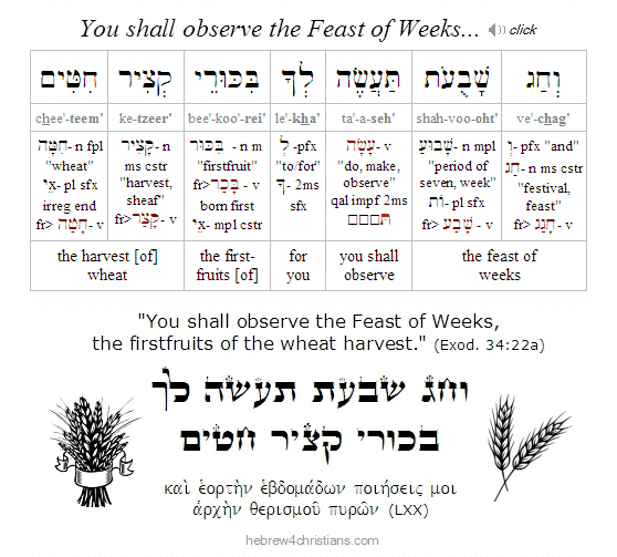 Exodus 34:22 Hebrew lesson