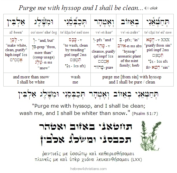 Psalm 51:7 Hebrew Lesson