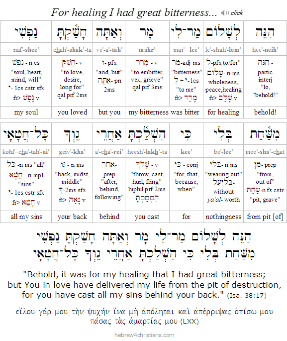 Isa. 38:17 Hebrew Lesson