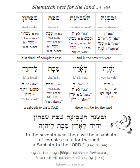 Leviticus 25:1 Hebrew Analysis